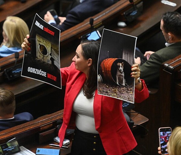 Sejm nie odrzucił weta prezydenta wobec tzw. ustawy łańcuchowej-99518