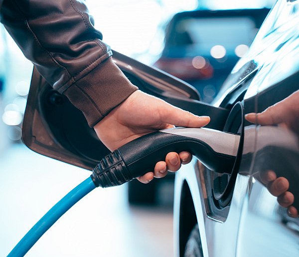 Coraz częściej dochodzi do takich kradzieży. Powody zaskakują-99976