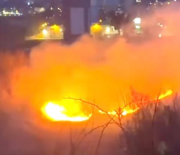 Pożar traw na Kalinkowej. Strażacy: kary są surowe, a zagrożenie ogromne