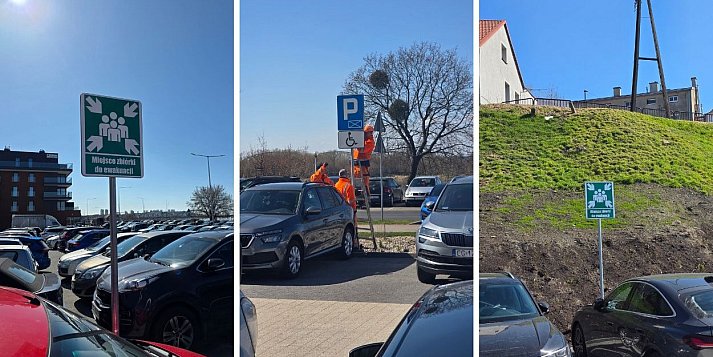 Zmiana znaków na Portowej! Jak urzędnicy robią z mieszkańców "nielegalnych" kierowców