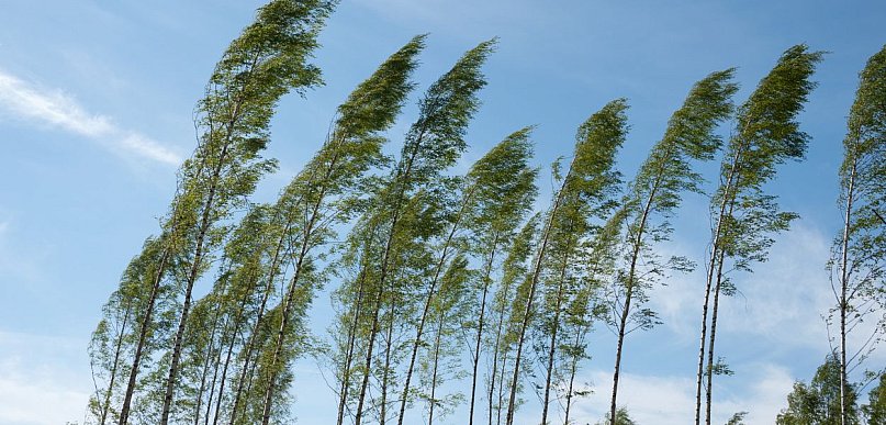 Ostrzeżenie pierwszego stopnia dla miejscowości Grudziądz i dla okolic