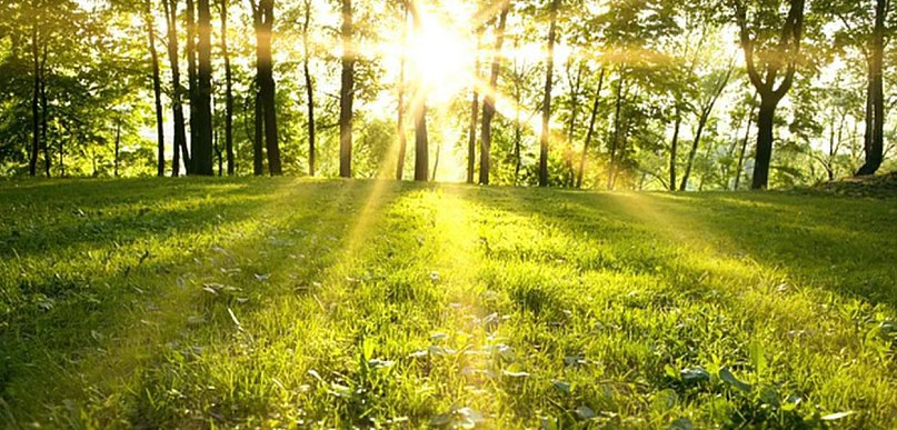 Majówka wyjątkowo ciepła i słoneczna; w centrum i na zachodzie nawet do 28 st. C