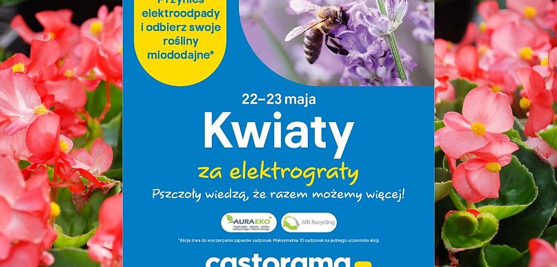 22-23 maja: mieszkańcy znów zamienią elektroodpady na kwiaty miododajne