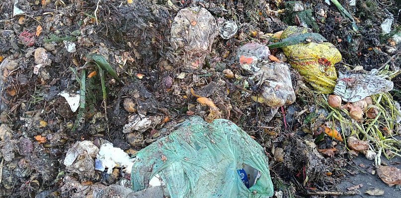 Dlaczego Grudziądz mówi „nie” bio-workom? Ratusz przerywa milczenie: „Chodzi o ...