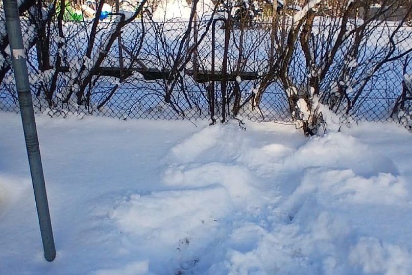 Grudziądz: Prezydent robi „orzełki”, a miasto tonie w zaspach. Radny Sarnowski odpowiada w nietypowy sposób