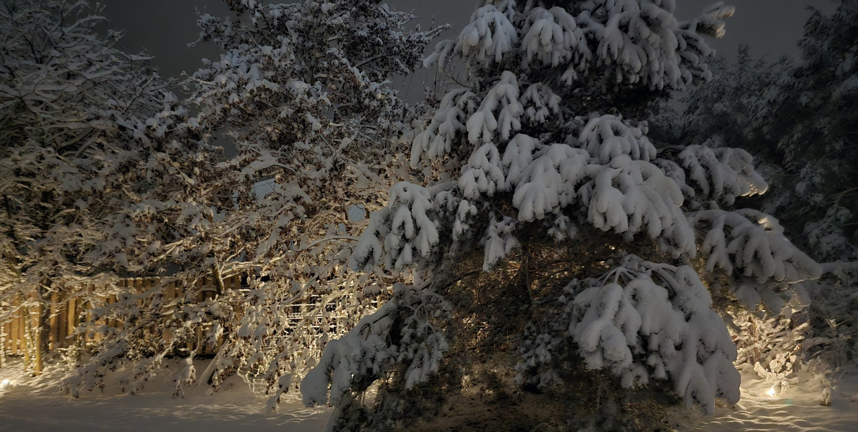 fot. Grudziadz365.pl