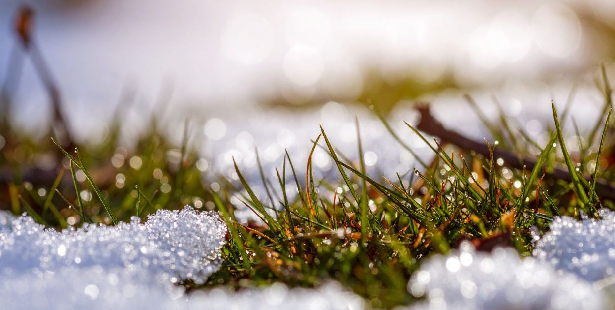 Czy wiosna przyjdzie wcześniej niż zwykle? Prognozy pogodowe na luty