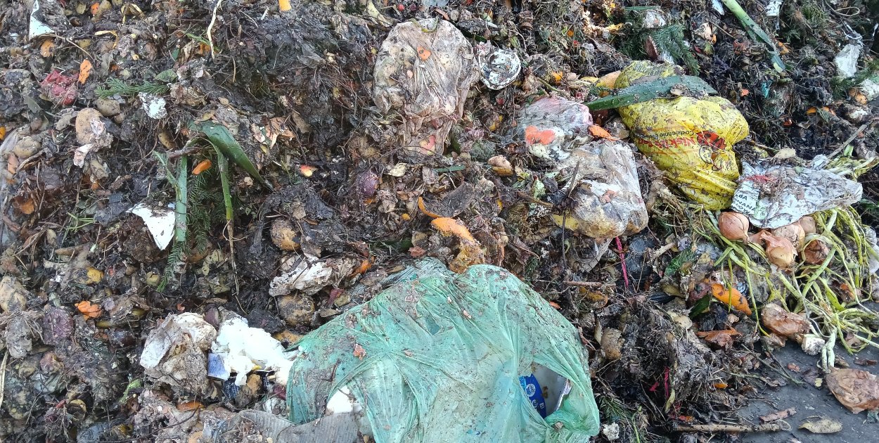 Dlaczego Grudziądz mówi „nie” bio-workom? Ratusz przerywa milczenie: „Chodzi o ...