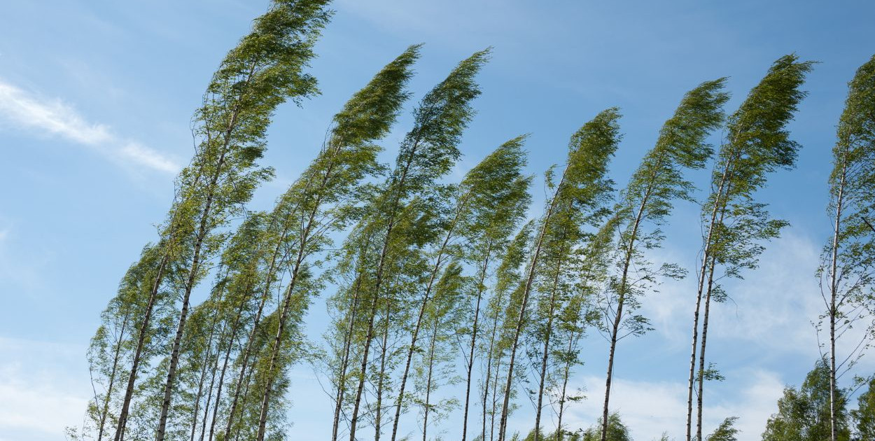 Ostrzeżenie pierwszego stopnia dla miejscowości Grudziądz i dla okolic